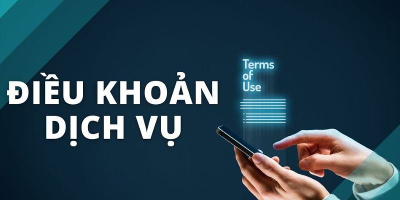 Tất cả các thông tin về điều khoản dịch vụ King88 được cập nhật rõ ràng trên trang chính.